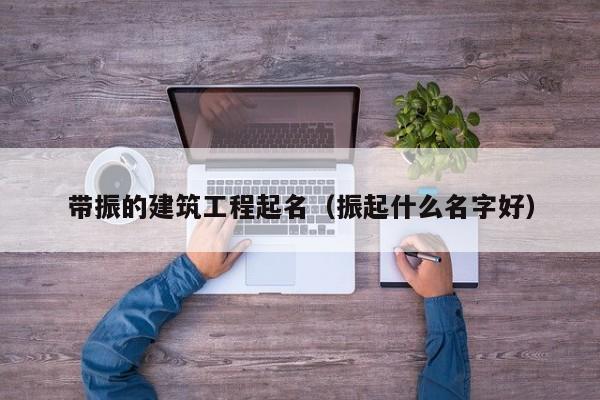 带振的建筑工程起名（振起什么名字好）